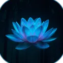 𝐿𝑖𝑚𝑖𝑠𝑠