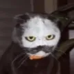 ChumBucket