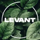 Levant's icon