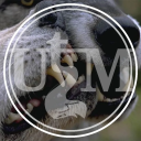 ⭑.ᐟ Under the Moon Discord server icon