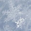 Winter Haven