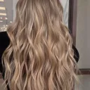 Wild Touch  Discord Server Icon