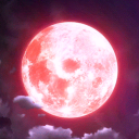 Moonlight
