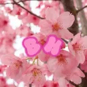 Blossom Hangout 🌸