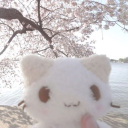 Sugar ⋆˚꩜｡ Discord server icon