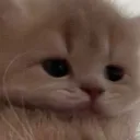 あるみさば！！！！！