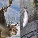 pixel's cotw and fly fishing hub