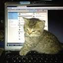 🌀 ‿◞　Circlejerk Discord server icon