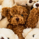 Maddy's Helping Hands Discord server icon