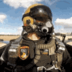The Warzone's icon