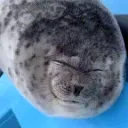 serakill ‧ ۫ ׅ ✧ Discord server icon