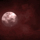 𝗖𝗼𝗺𝗺𝘂𝗻𝗶𝘁𝘆 𝗪𝗛𝗠