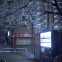 Nerumi's Abode ⋆‧°𓏲ּ𝄢 Discord server icon