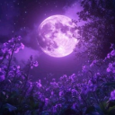 Moon’s Sanctuary