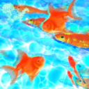 ⋅˚₊‧ 🐠 𝙛𝙧𝙪𝙩𝙞𝙜𝙚𝙧 𝙖𝙦𝙪𝙖𝙧𝙞𝙪𝙢 🌐 ‧₊˚ ⋅ Discord server icon