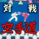 Taisen Karate-Dō『対戦空手道』