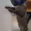 Allora