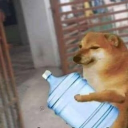 ThanniCan Discord server icon