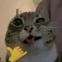 larp central Discord Server Icon