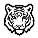 Liquid Designs