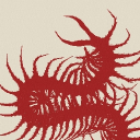 ⊹₊⟡⋆ General hangout's support/waiting room! Discord server icon