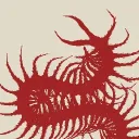 ⊹₊⟡⋆ General hangout's support... Discord Server Icon