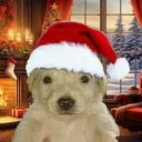 Standoff2 2026 discord icon