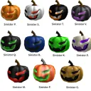 tha pumpkin patch