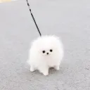 Сервер суглинок.