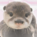 ୭ ˚.⁺⊹ ʸᵤₘₑ ₒₜₜₑᵣ ᶜᶦᵗʸ ⋆˚꩜｡