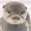 ୭ ˚.⁺⊹ ʸᵤₘₑ ₒₜₜₑᵣ ᶜᶦᵗʸ ⋆˚꩜｡