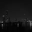 NIGHT OWLS