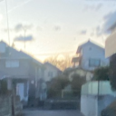 Beans garden 🪴（ｂｅａｎｃｏｒｄ） Discord server icon