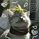 ⎛♡⎠𝙲at  𝙲afe  ˖★ ̇ Discord server icon