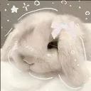 ° . • 🌸 The Rabbit Warren 🌸 • . °
