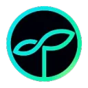 The Seed