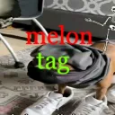 Melon Tagging