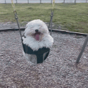 The Common Place Discord server icon