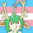 Locally Grown Transfems