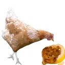 ⭐ᗰᗩᖇᗩᑕᑌᐯᗴᖇᔕᗴ⭐