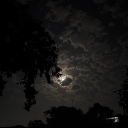 𝕸𝖔𝖔𝖓𝖑𝖎𝖌𝖍𝖙𝖘 Discord server icon