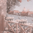 ᜒᨳິ ׂ  𓈒 ᮫  𝒲hitehaven Rose Academy 𝜗𝒞 ◟ ͜ ◞ Discord server icon