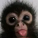 Monkeys Server丨 Big donut丨 Giveaway 丨Daily 丨Streams丨 Uploads