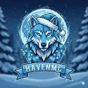 Havenmc