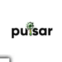 Pulsar's Beehive