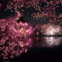 [FERMETURE] ˚₊‧ Miyazaki 宮崎  ࣪ ִֶָ⛩་༘