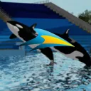 SeaWorld Shamu Theater