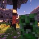 Found SMP
