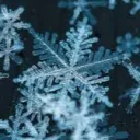 🥶CHILL TAGGERS🥶