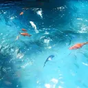 🌊 𝒯𝒽𝑒 𝒟𝒾𝒶𝓇𝓎 𝑜𝒻 𝓉𝒽𝑒 𝒮𝑒𝒶 🪼